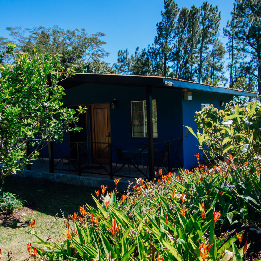 "Vista Exterior de Nuestra Cabaña Rodeada de Jardines Floridos"