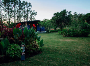 "Disfruta de la Naturaleza en el Extenso Patio Privado de Nuestra Cabaña"