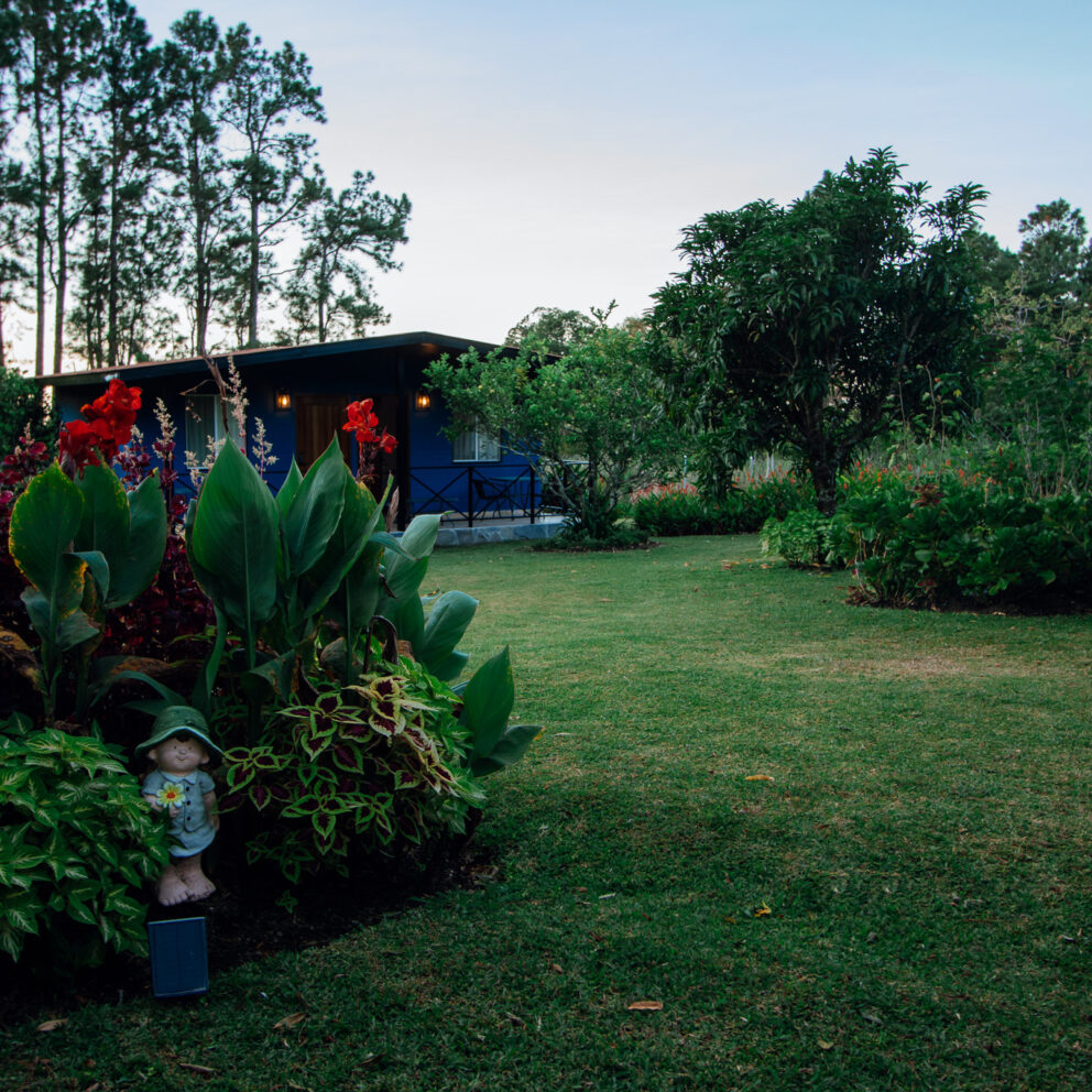 "Disfruta de la Naturaleza en el Extenso Patio Privado de Nuestra Cabaña"