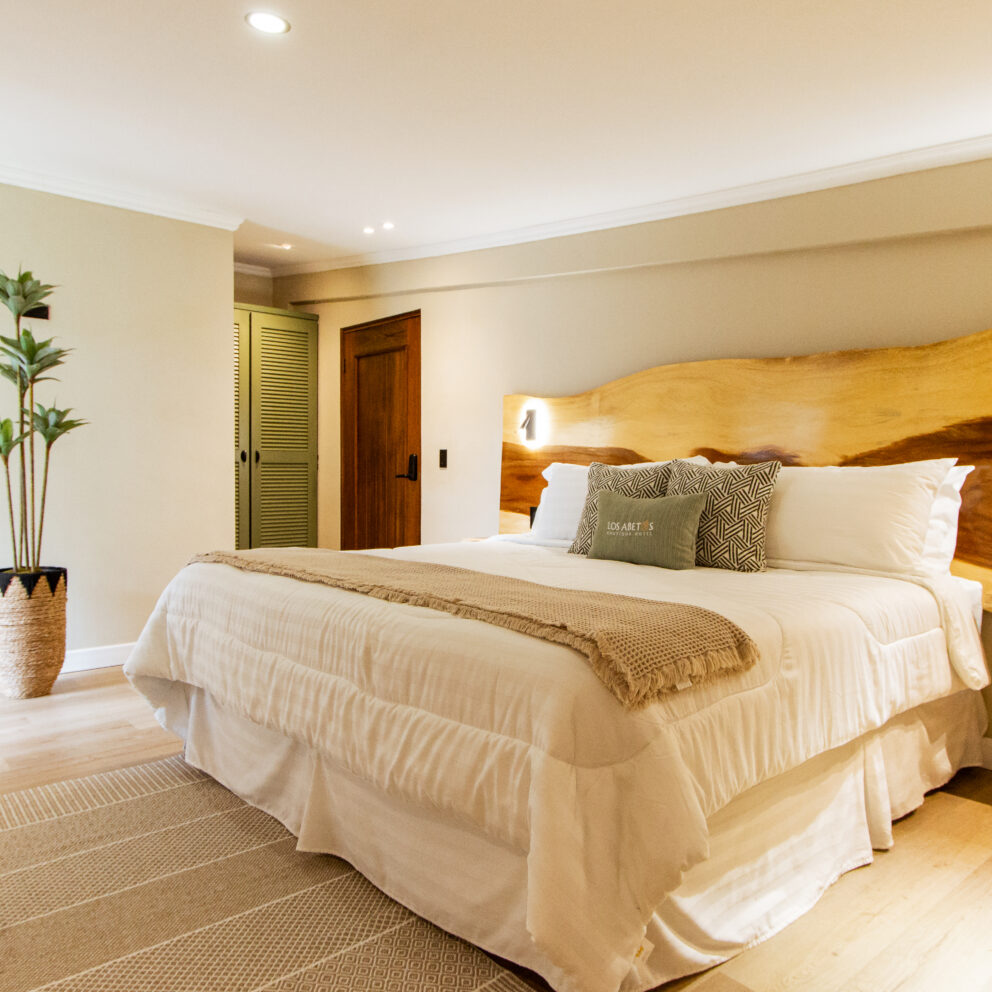 "Espaciosa Suite con Cama King y Detalles en Madera Natural"