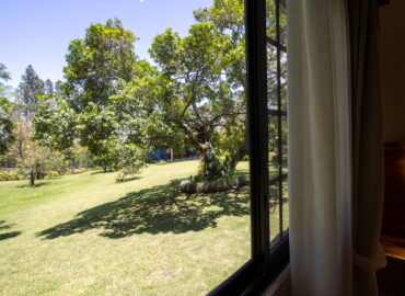 "Vista al jardín desde la habitación en Los Abetos Boutique Hotel"