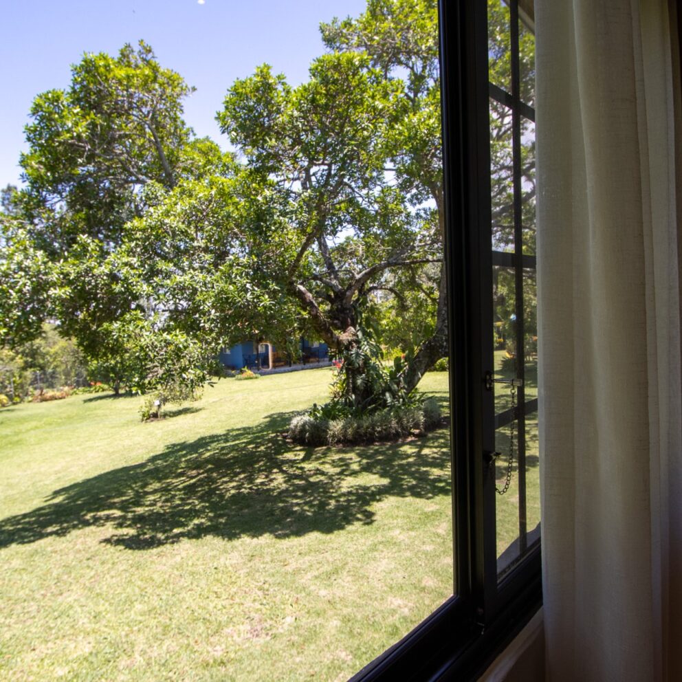 "Vista al jardín desde la habitación en Los Abetos Boutique Hotel"